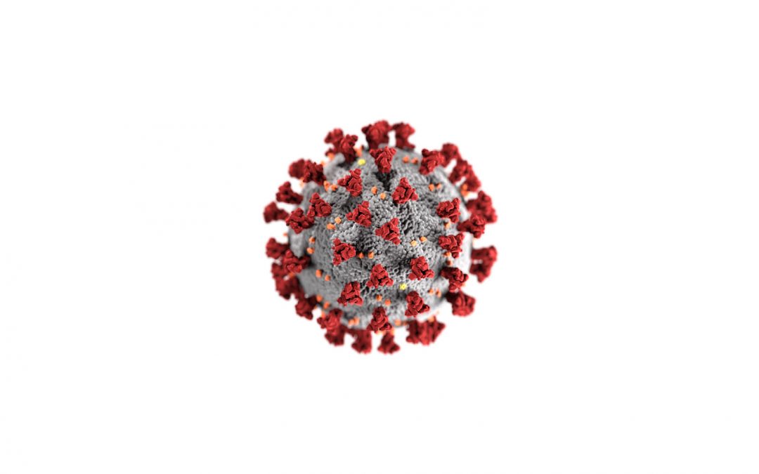 COVID-19 Coronavirus Update
