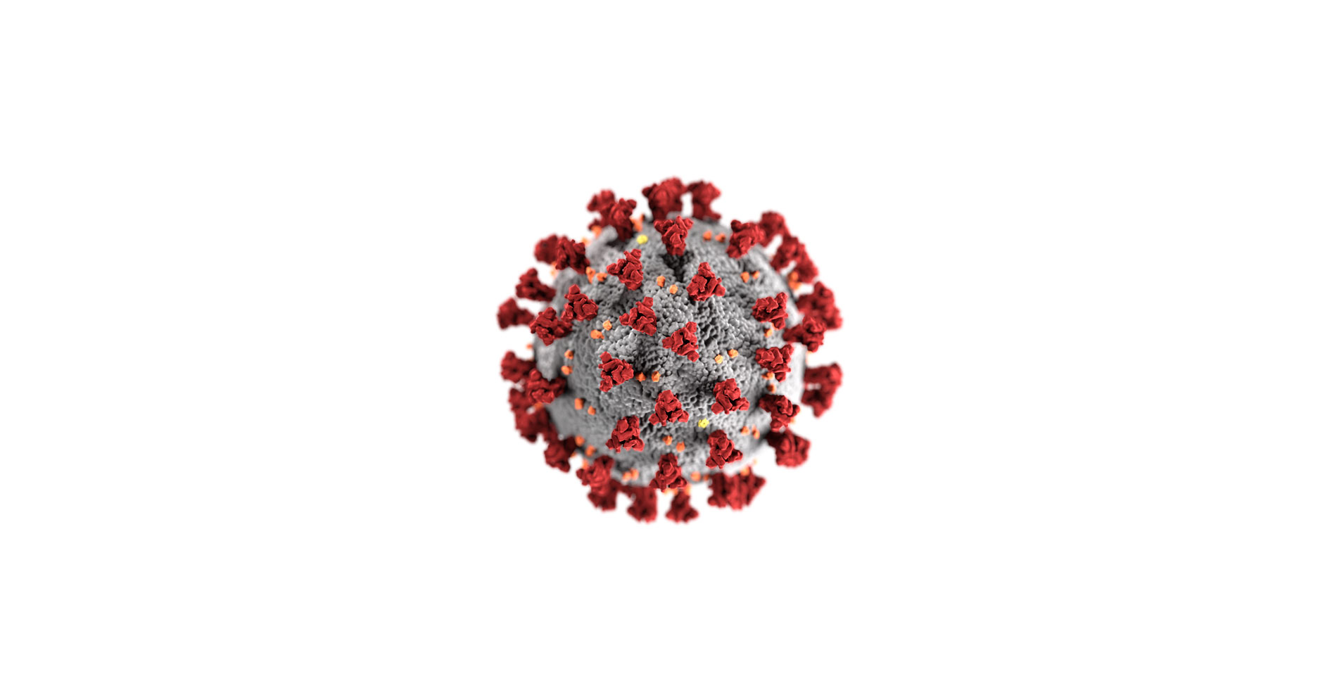 COVID-19 Coronavirus Update